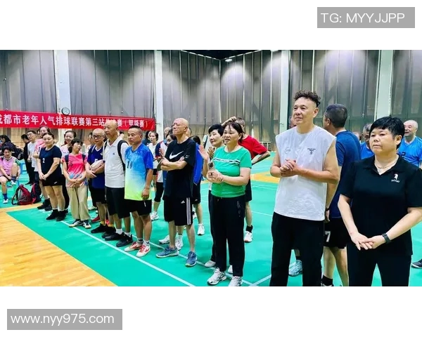 成都排球队的节奏解析与深度剖析全面解读排球运动的魅力与技巧