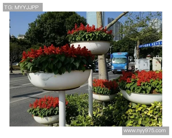 时团携手足球明星共创精彩时刻引领青春热潮